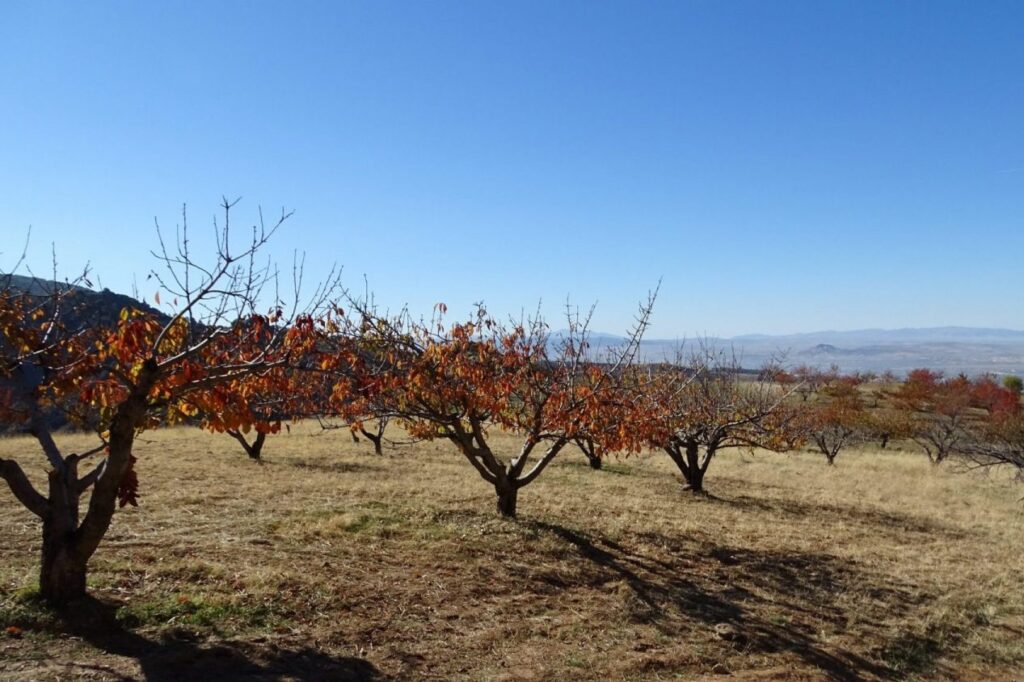  Los Cahorres de Monachil Andalusië