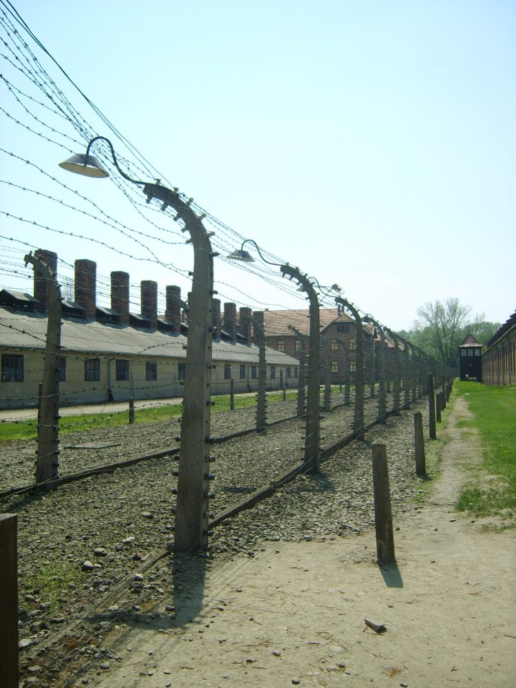 Citytrip Krakau: leuke bezienswaardigheden + wat doen: Auschwitz-Birkenau concentratiekamp