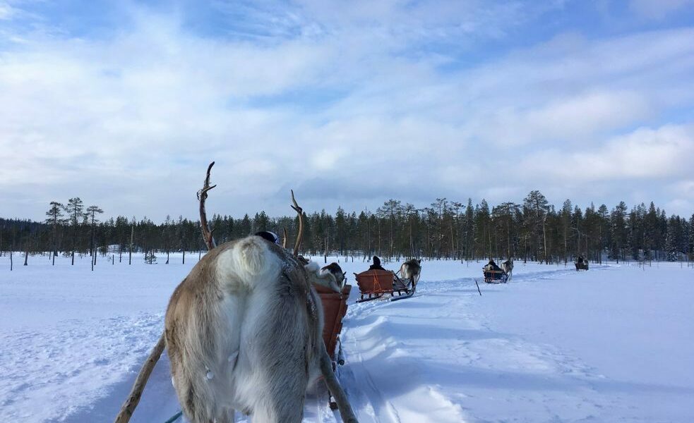 Actieve wintervakantie in Fins Lapland