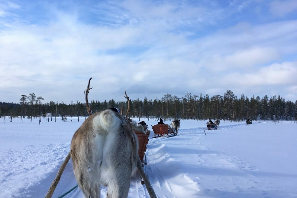 Actieve wintervakantie in Fins Lapland