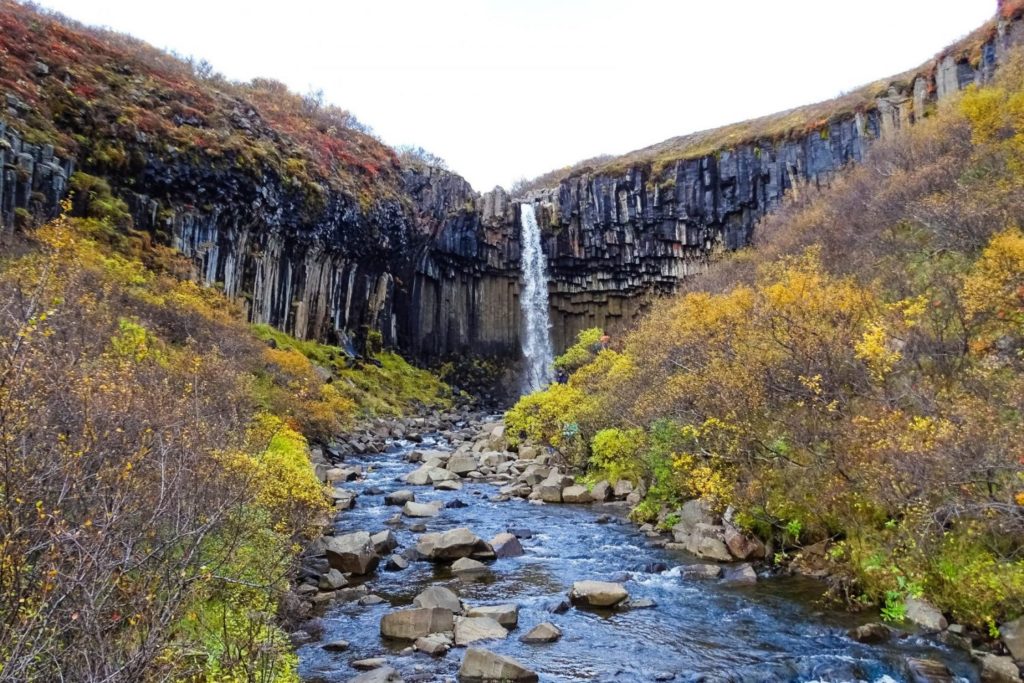 Svartifoss waterval