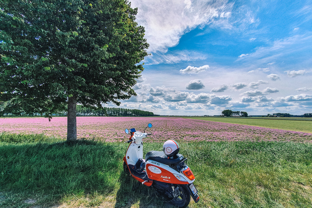 scooter zeeuws-vlaanderen - meetjesland