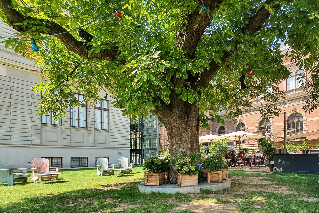 6 betaalbare restaurants (én specialiteiten) in Wenen: Salonplafond im MAK