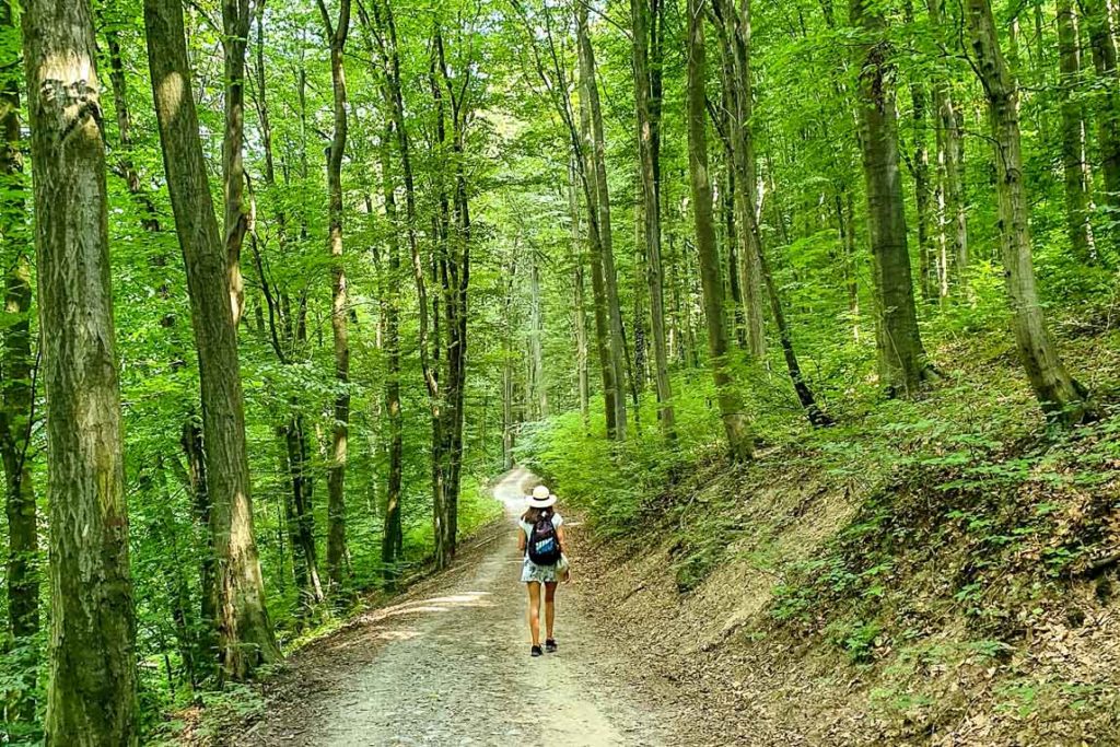 bratislava Bratislava Forest Park
