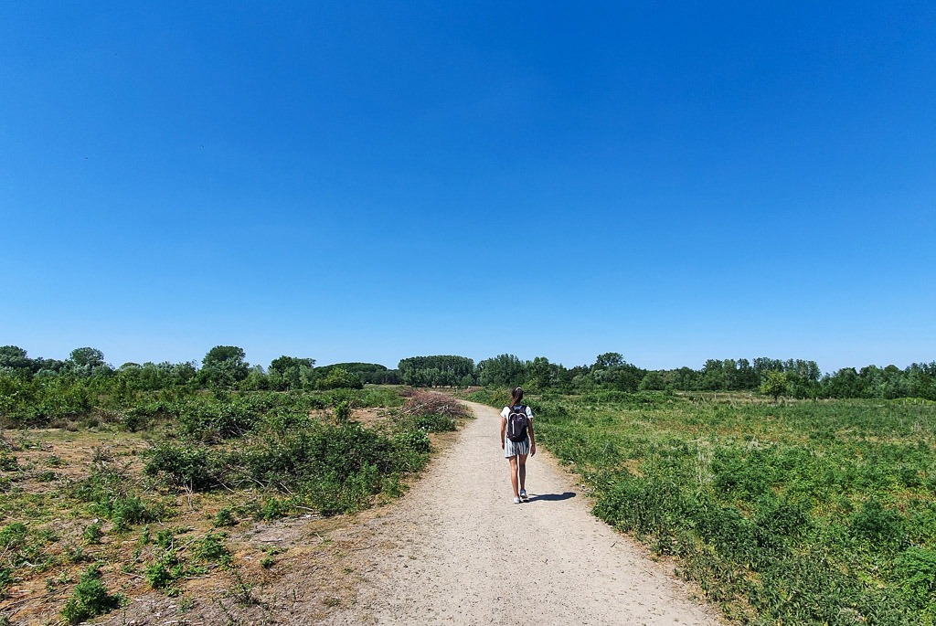 mooiste wandelingen in Oost-Vlaanderen: Natuurgebied Kalkense Meersen