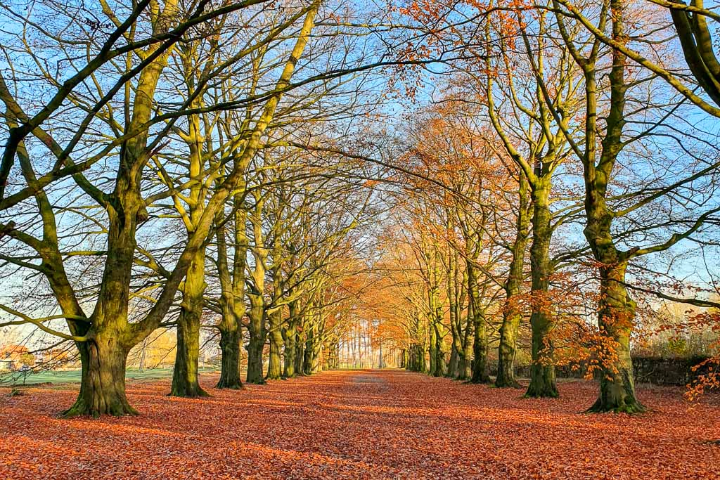 mooiste wandelingen in Oost-Vlaanderen: 10000 stappenwandeling in Beveren