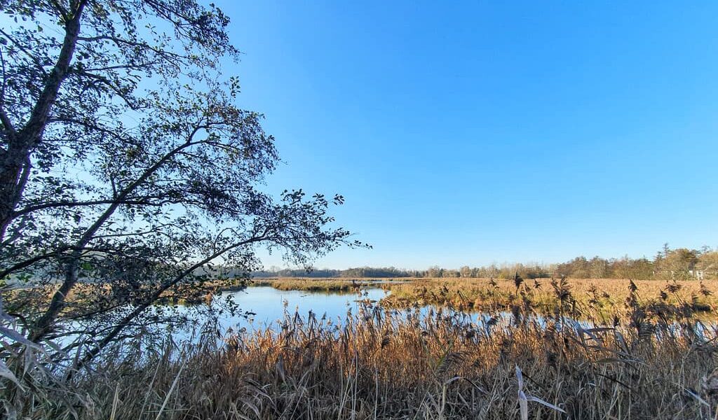 mooiste wandelingen in Oost-Vlaanderen: Molsbroek Lokeren
