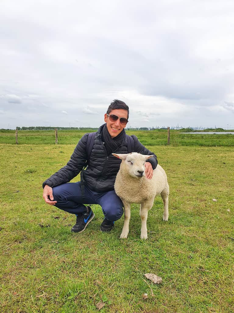 mooiste wandelingen in Oost-Vlaanderen: Prosperdorp-Zuid