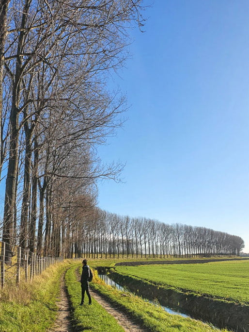 mooiste wandelingen in Oost-Vlaanderen: Prosperdorp
