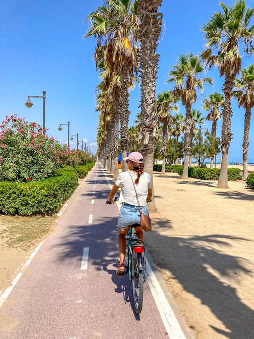 verplaatsen in Valencia: fiets