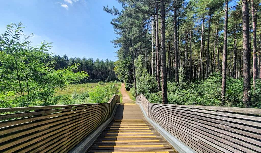 mooiste wandelingen in de provincie Antwerpen: Westerlo en Tongerlo Antwerpse Kempen