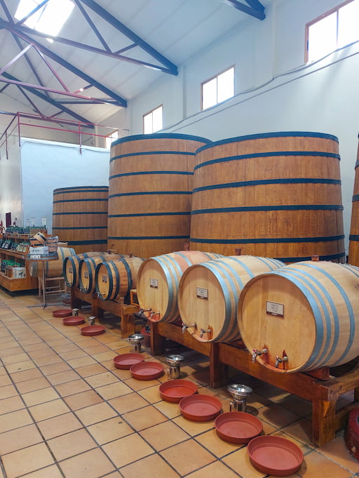 doen Jalón Vallei Costa Blanca: bodega bezoeken