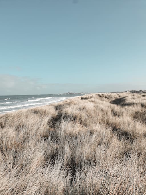 Zwinwandelroute langs het strand
