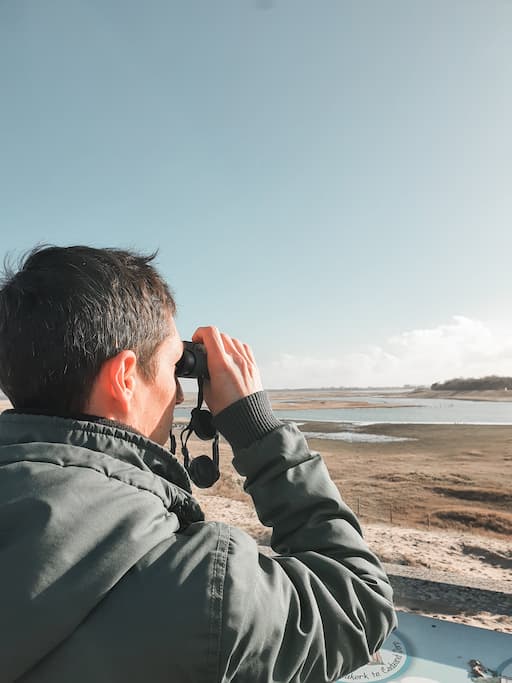 Uitkijkpunt Zwinwandelroute