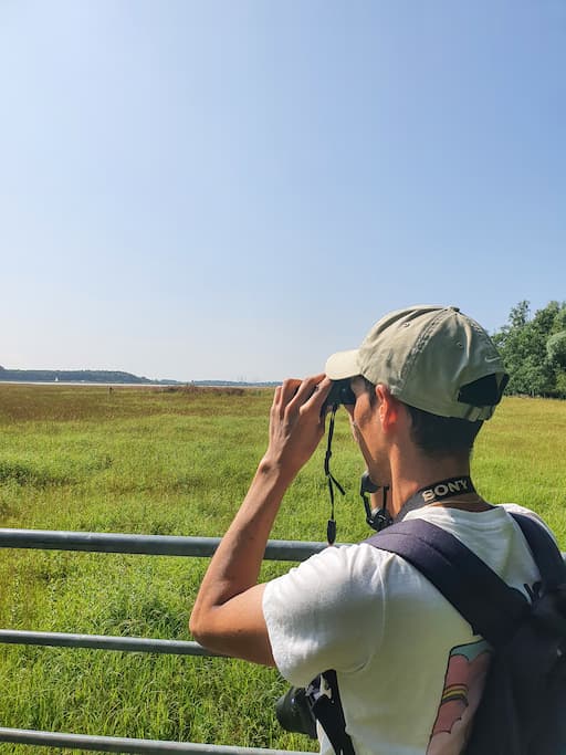 leuke en verrassende uitstappen in Nederland: Veerse meer