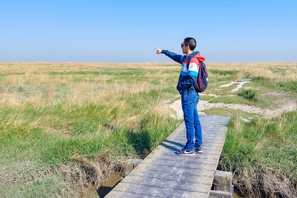 leuke en verrassende uitstappen in Nederland: Vlonderpaden in Verdronken Land van Saeftinghe