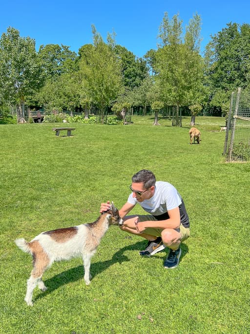 Kinderboerderij De Zeven Torentjes