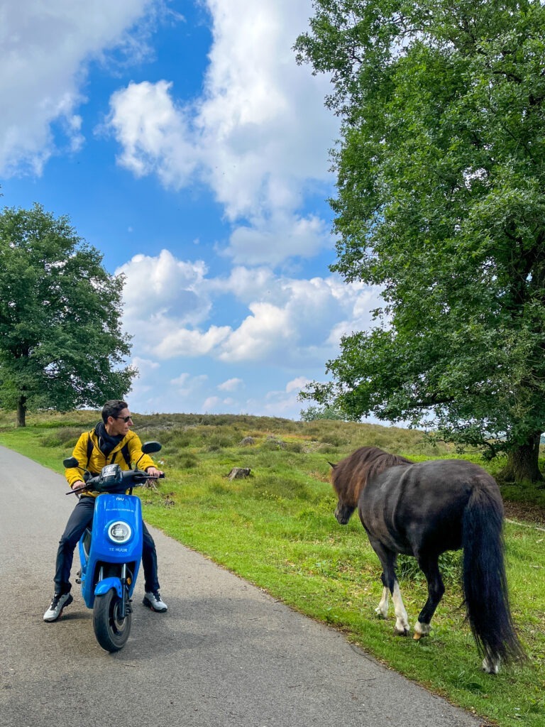 leuke en verrassende uitstappen in Nederland:  Met een elektrische scooter door Nationaal Park Veluwezoom