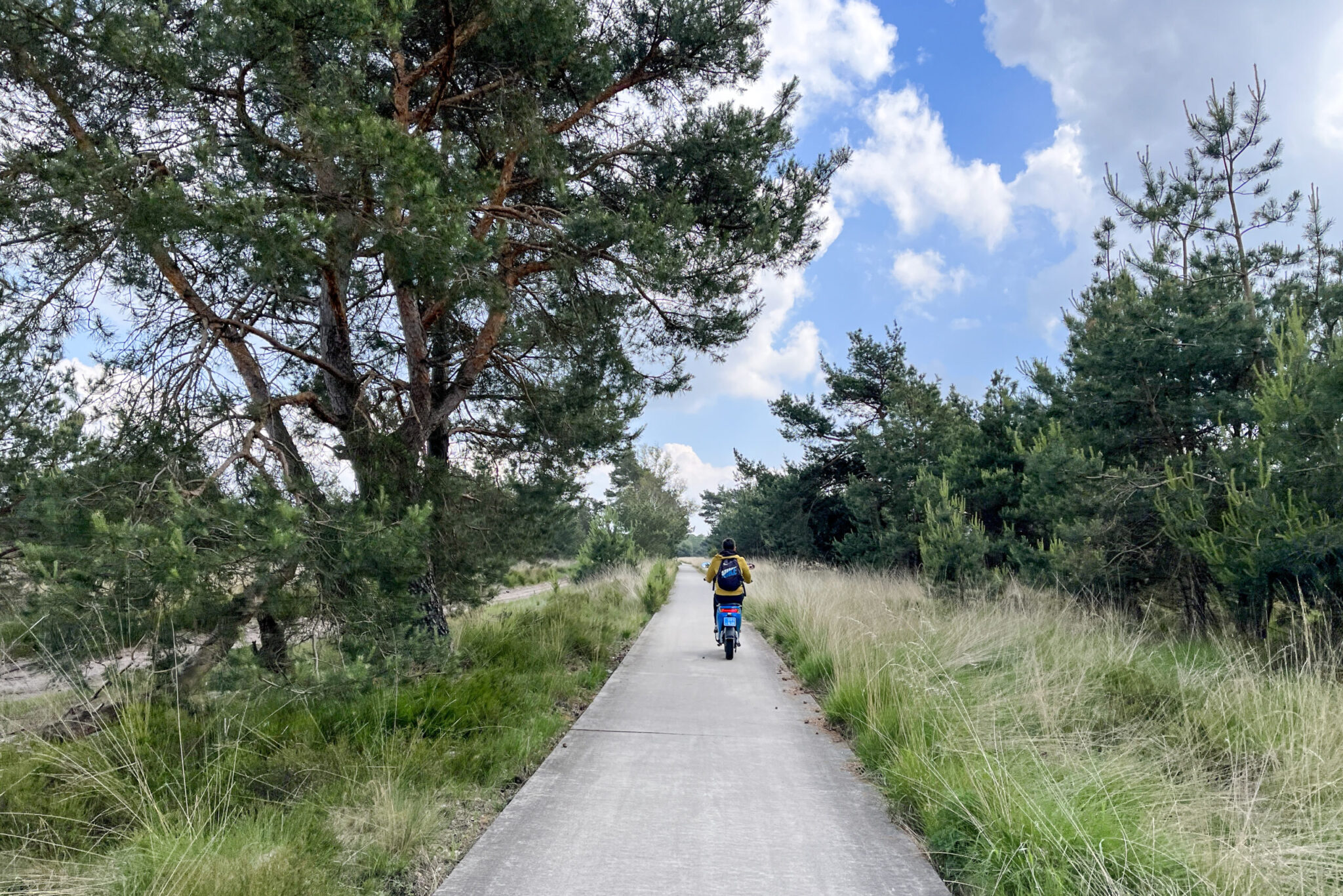 Met een elektrische scooter door Nationaal Park Veluwezoom
