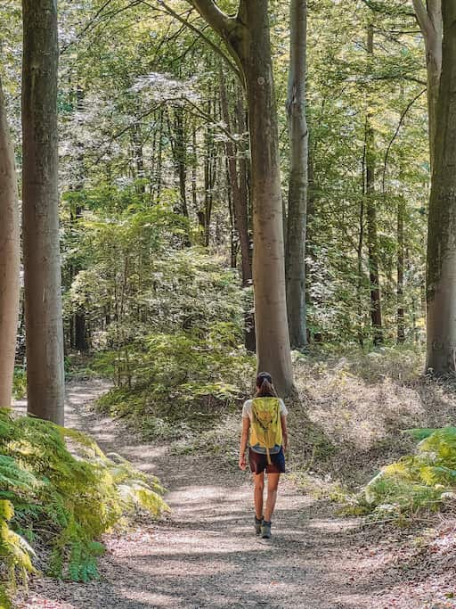 mooiste wandelingen in de Vlaamse Ardennen: Vlaamse Ardennen Challenge