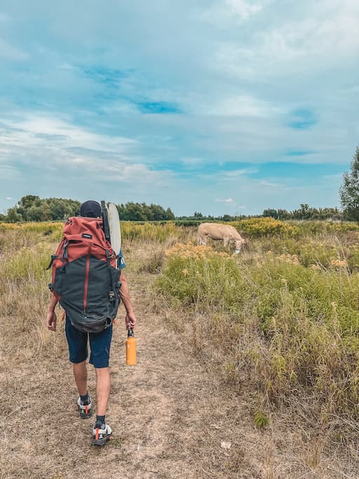 Packraften in De Biesbosch in Nederland