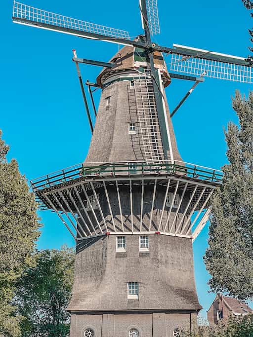 Tips voor een duurzaam weekend in Amsterdam: Tours That Matter