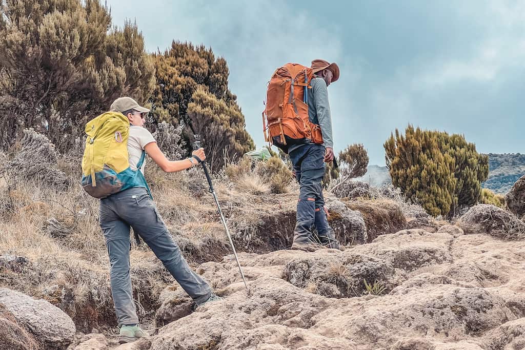 tips voorbereiding kilimanjaro: De beklimming van de Kilimanjaro in Afrika: dag 2 heide