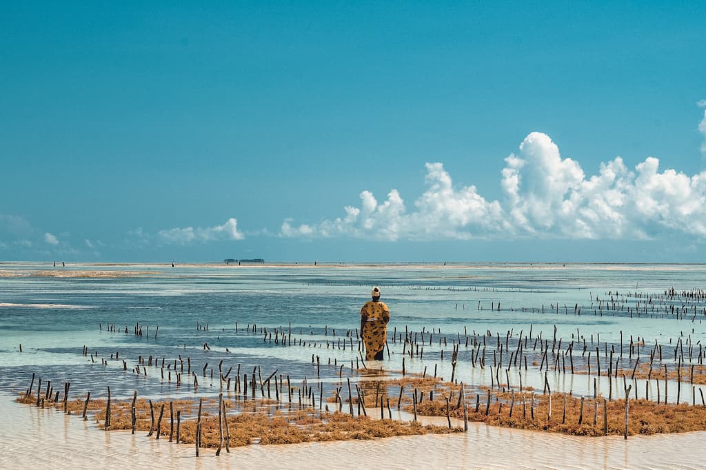 Top 6 leukste excursies op Zanzibar, Tanzania: lokale bevolking