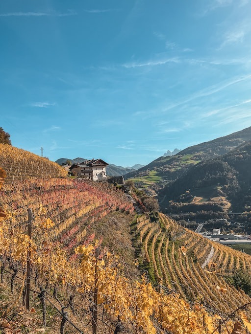 Op boerderijvakantie in Zuid-Tirol met Roter Hahn: herfst