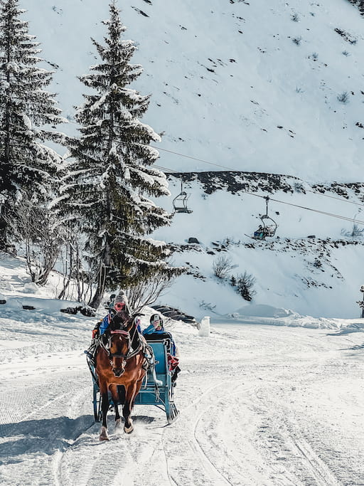 Paardenkoets in Avoriaz