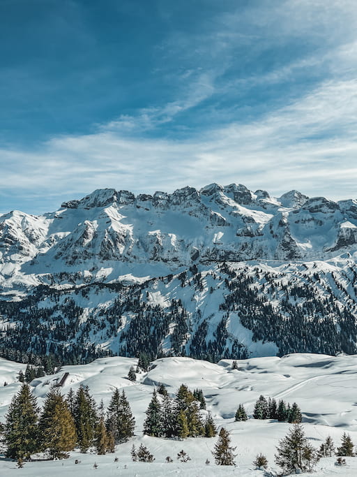 Skigebied Portes du Soleil: groot, veelzijdig en grensoverschrijdend