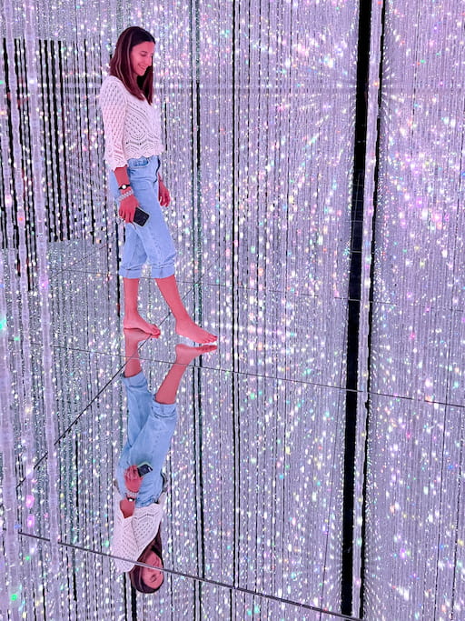 tips om te doen in Tokyo: Team Lab museum