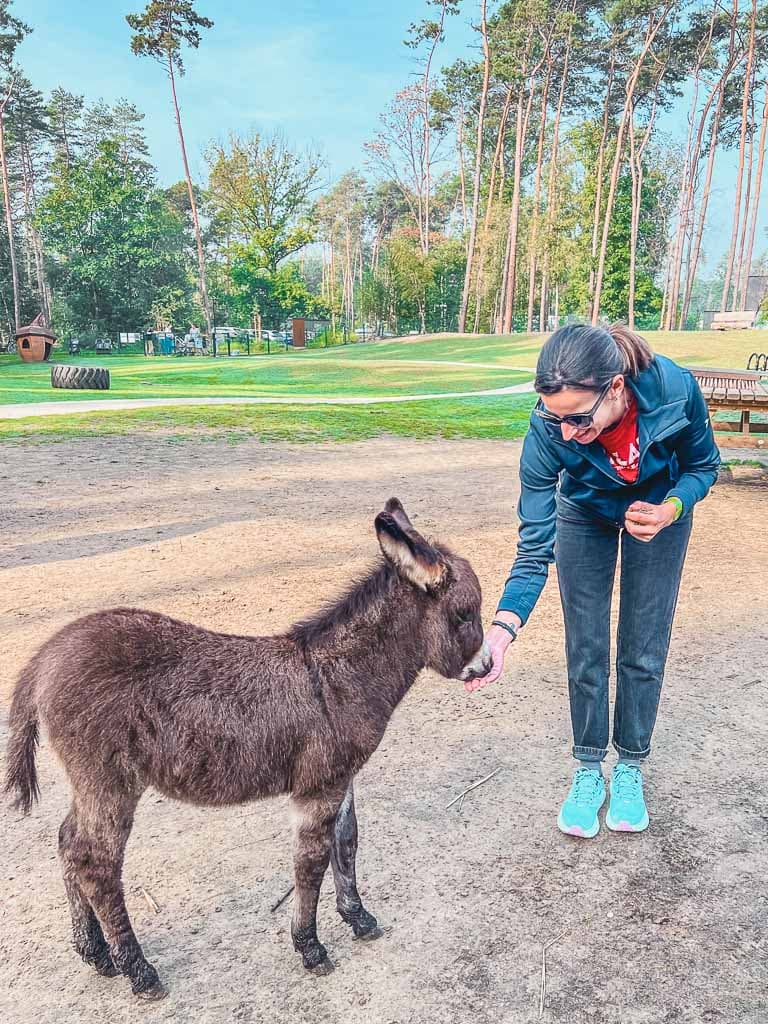 kinderboerderij