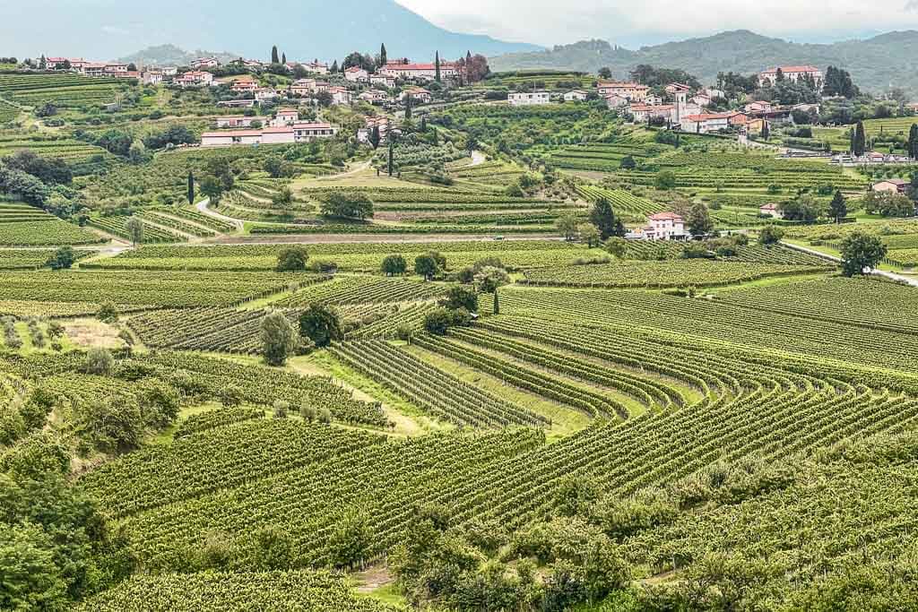 Rondreis Slovenië: de mooiste plekken: Goriska Brda