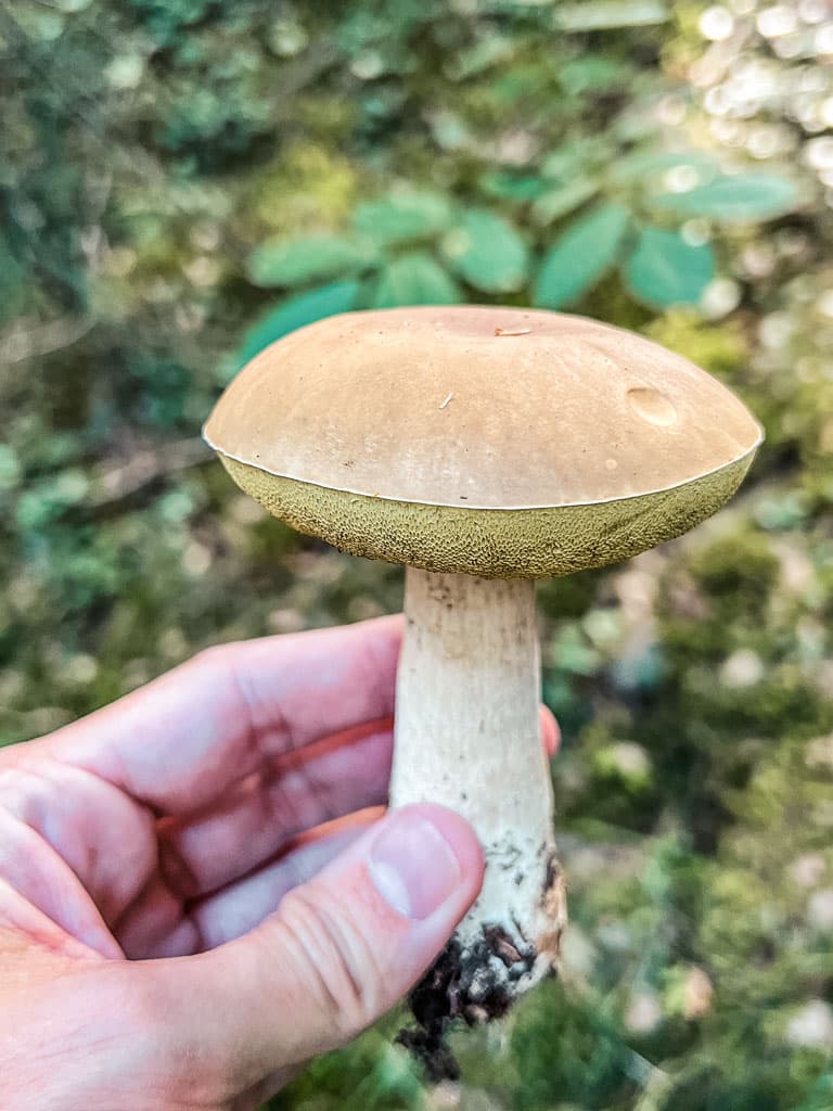Wat te doen in Verbier in de herfst