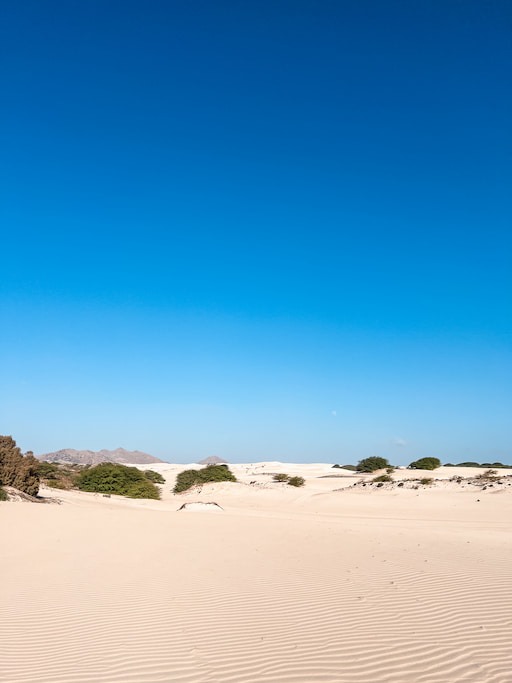 De leukste activiteiten om te doen op Boa Vista, Kaapverdië