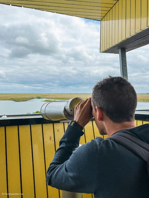 Op stap in Flevoland: mooiste plekken en uniek overnachten