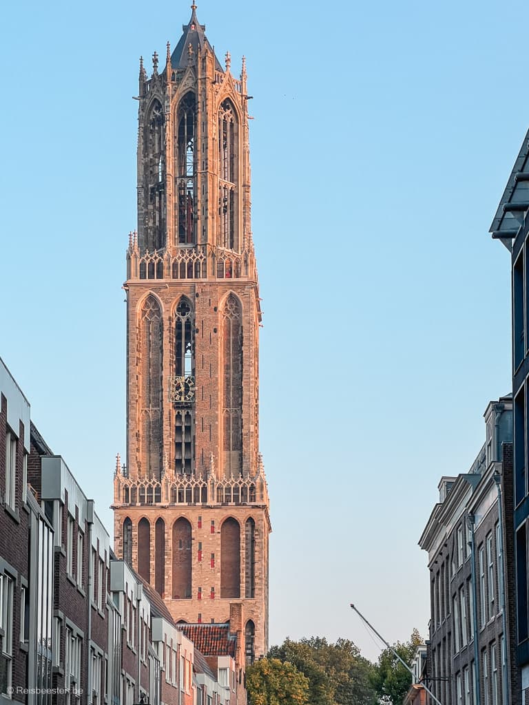 Wat te doen in Utrecht: Domtoren beklimmen