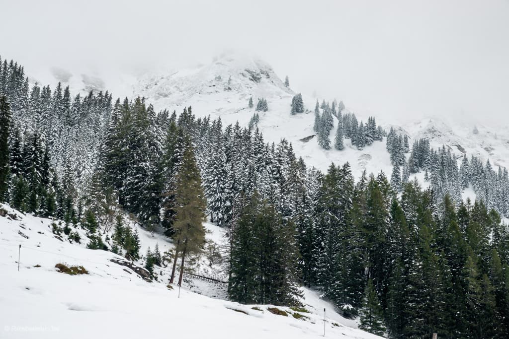 Raurisertal in Nationaal Park Hohe Tauern, Oostenrijk