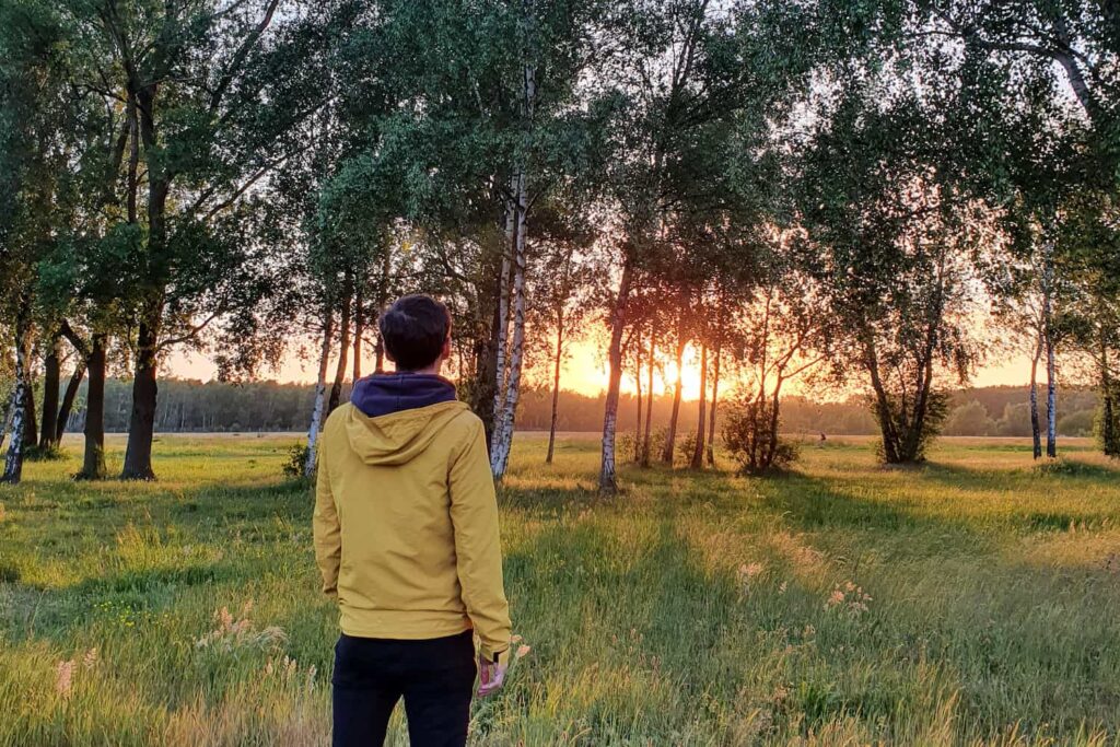 Wandelen in Antwerpen: het groene Linkeroever: Middenvijver natuur