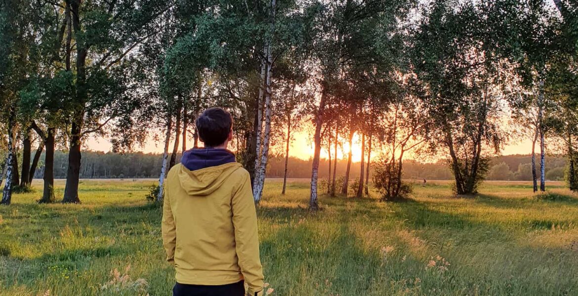 Wandelen in Antwerpen: het groene Linkeroever: Middenvijver natuur