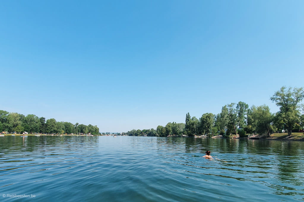 Citytrip Wenen: bezienswaardigheden in de zomer: Alte Donau zwemmen