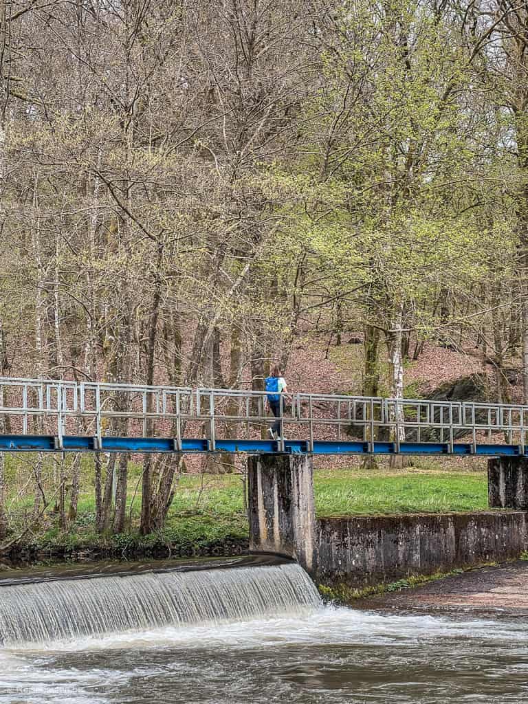 mooiste wandelingen in België (info + route): Rond het meer van Nisramont