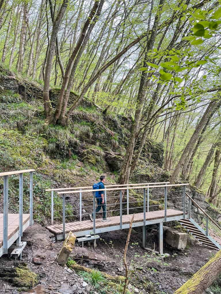 mooiste wandelingen in België (info + route): Wallonië bos ardennen