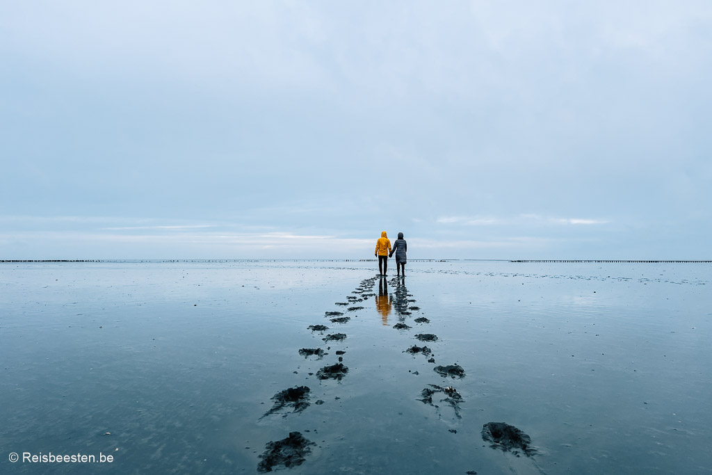 Wat te doen in Groningen: tips voor de winter: wadlopen Noordpolderzijl