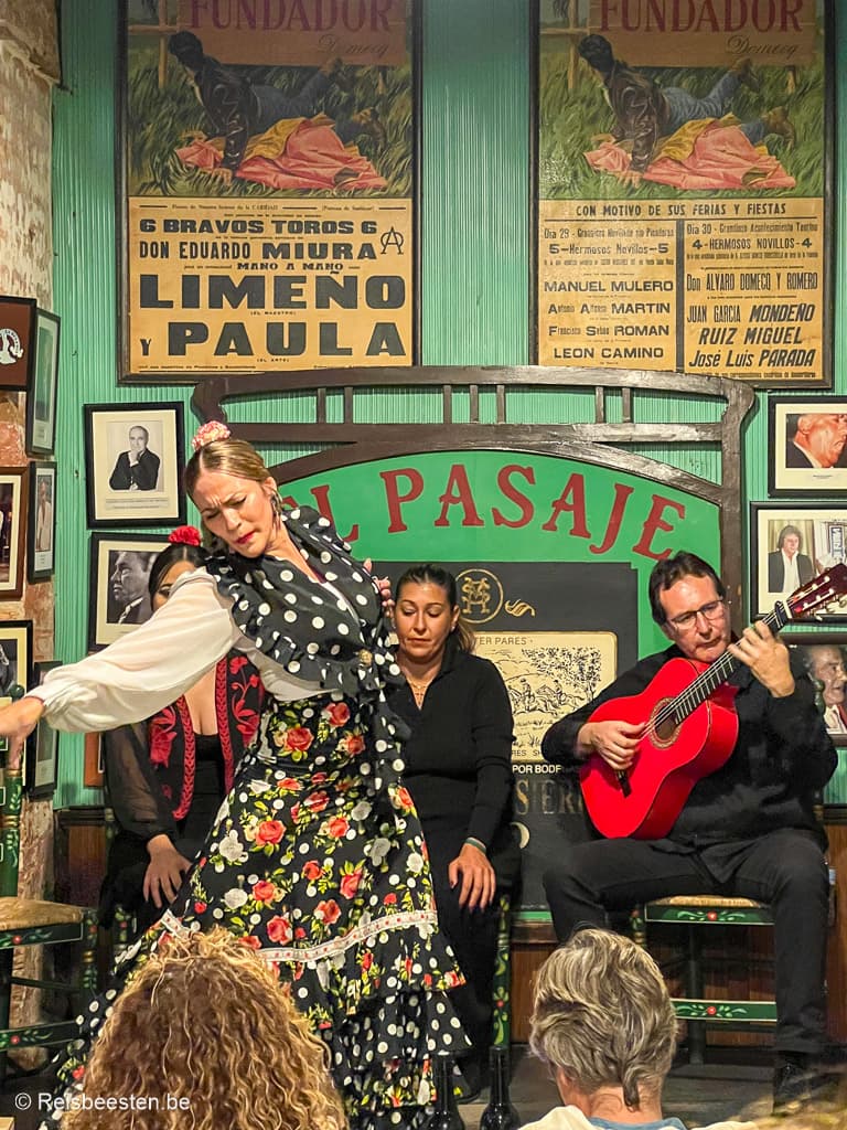 Costa de la Luz in Spanje: bezienswaardigheden + wat te doen: Jerez De La Frontera flamenco tabanco