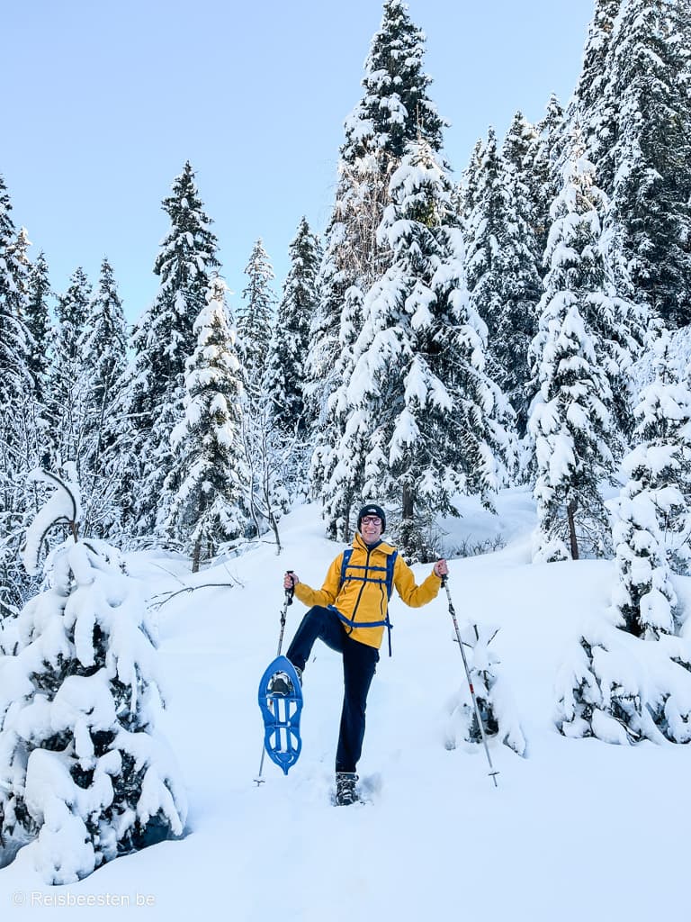 Wandelen met sneeuwschoenen bij het Plateau du Cuvy