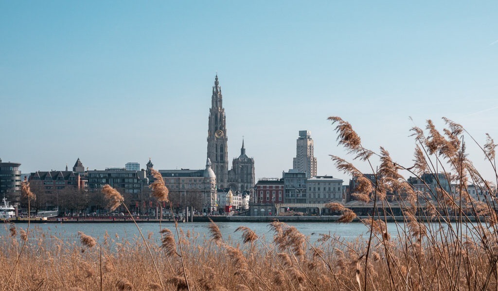 wat te doen in Antwerpen: de ultieme stadsgids
