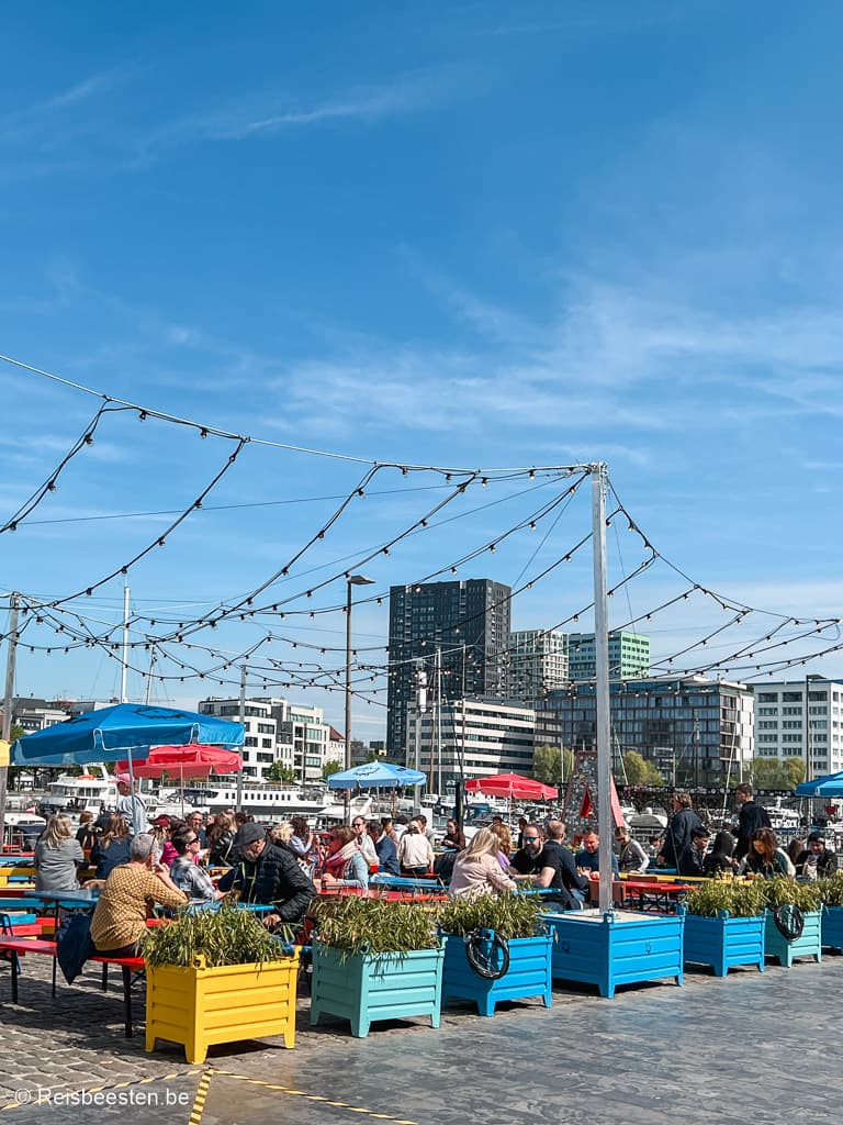 Wolf food market Eilandje