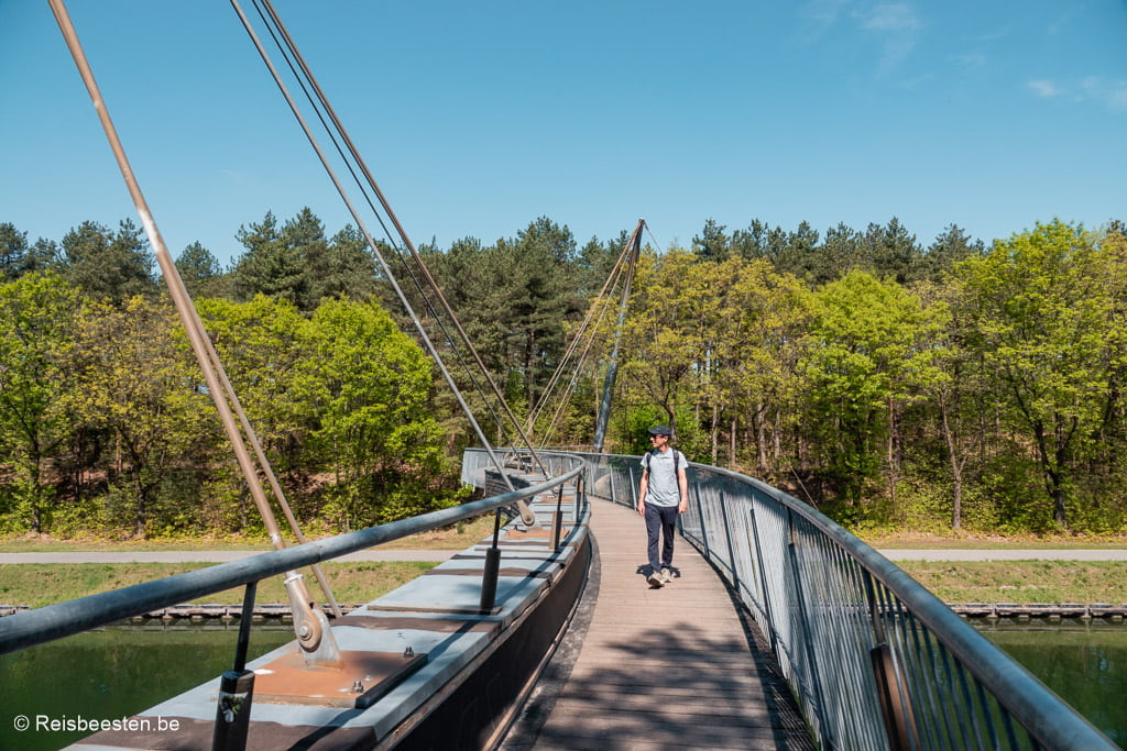 Wandelen in de Lommelse Sahara in België: routes + tips: voetgangersbrug over het Kanaal
